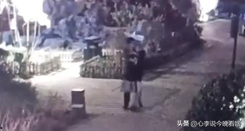 清苑吃瓜事件视频大全下载,视频大全回顾与解析