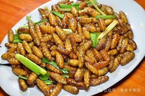 蚕蛹吃瓜的视频大全,一场生态奇观的视频记录  第3张