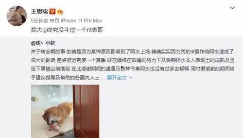 聪哥吃瓜视频在线观看免费,免费在线观看，畅享娱乐盛宴  第2张