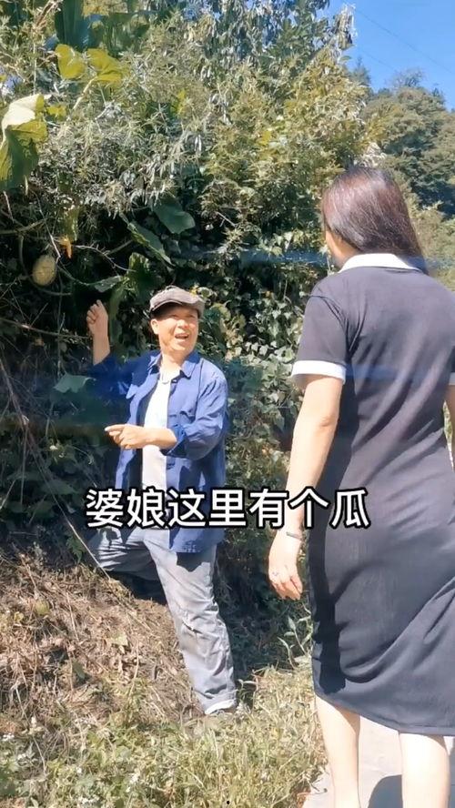 不搞笑吃瓜视频,揭秘娱乐圈背后的真相  第3张