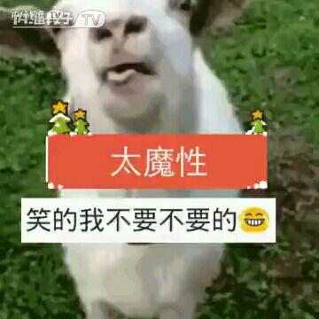 傻呆瓜可以吃吗有毒吗视频,有毒与否，真相揭晓  第1张