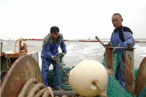 中国渔民演戏吃瓜视频,共享丰收喜悦  第3张