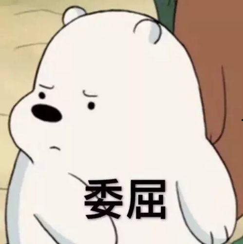 我不怕冷吃瓜视频,畅享瓜界盛宴——揭秘“我不怕冷吃瓜”的独特魅力  第1张