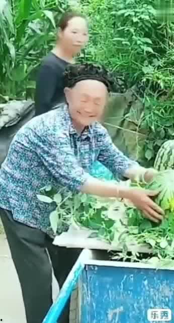 吃瓜搞笑老奶奶视频,网友直呼“太欢乐”  第1张
