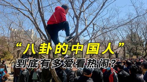 大妈在边境吃瓜图片视频,揭秘边境风情与日常生活  第3张
