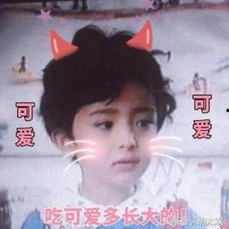 吃瓜最新事件讲解视频,最新事件视频深度解析  第3张