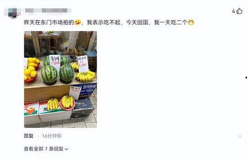 韩国人免费吃瓜视频网站,轻松畅享娱乐盛宴  第1张
