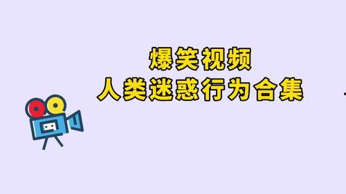 吃瓜群众迷惑搞笑视频,笑到肚子疼的瓜界奇观  第2张