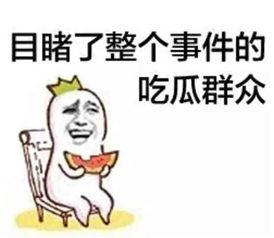 吃瓜群众迷惑搞笑视频,笑到肚子疼的瓜界奇观  第3张