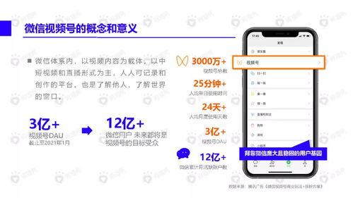 广州酒店吃瓜视频下载,揭秘幕后真相，带你一探究竟
