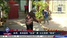河北保定吃瓜最新事件视频,一场网络热议背后的真相揭秘