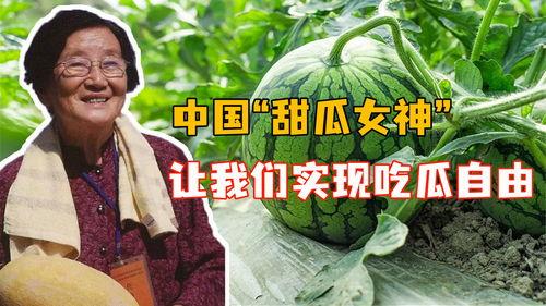 吃瓜青年以前的视频叫什么,那些年我们一起追过的瓜