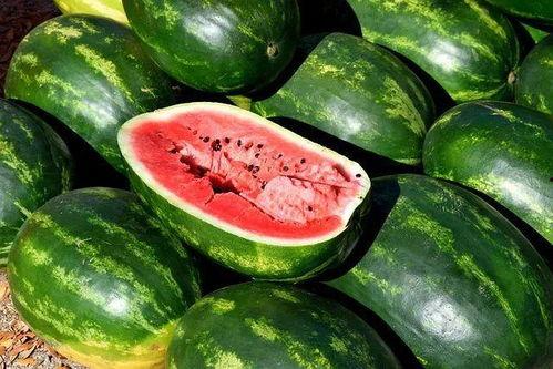 如何看懂吃瓜视频素材下载,轻松看懂下载流程与技巧