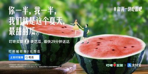 吃瓜花的文案视频,揭秘娱乐圈幕后故事，带你走进明星真实生活