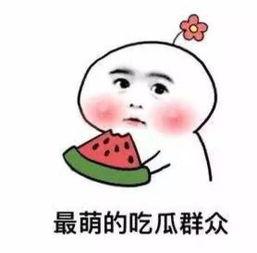 带你吃瓜吐槽奇葩视频下载,下载背后的趣味与争议
